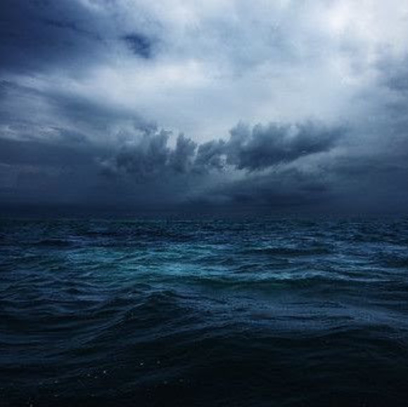 Meet your Posher, Kelly - Picture 1 of 1